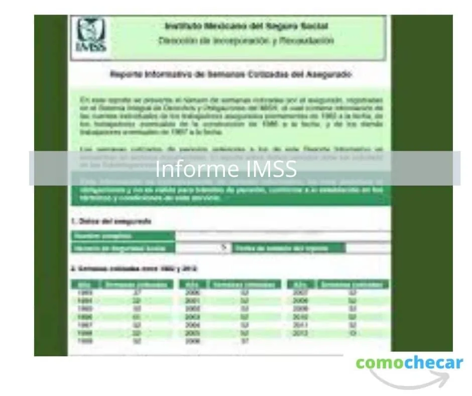 informe imss